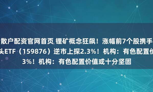 散户配资官网首页 锂矿概念狂飙!涨幅前7个股携手新高,有色龙头ETF(159876)逆市上探2.3%!机构:有色配置价值或十分坚固