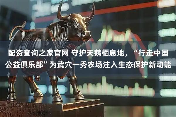 配资查询之家官网 守护天鹅栖息地，“行走中国公益俱乐部”为武穴一秀农场注入生态保护新动能